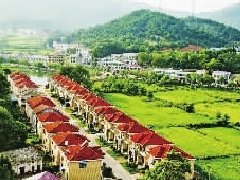 定了！今后梅州柚產業規劃 | 大埔新增7萬畝14鎮這樣發展