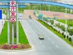 百里杜鵑大水鄉四舉措力推蔬菜產業規劃發展