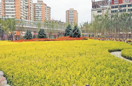 道外打造“三區(qū)一帶”推動區(qū)域經濟發(fā)展