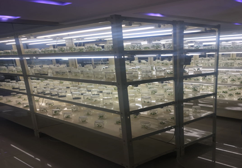 “蔬菜之鄉(xiāng)”山東壽光聚力打造具有縣域特色國(guó)家級(jí)高新區(qū)