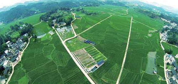 大健康事業(yè)是國家趨勢，現(xiàn)今走在前面的人，將是未來的主角！