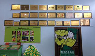 “芒果百色，香飄百地” 國內首家芒果精深加工特色產(chǎn)業(yè)基地申報進行時