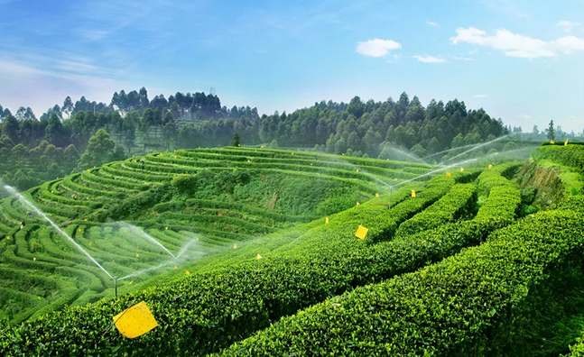 2019年國家先給錢后建設的4類農業(yè)產業(yè)項目，最多補貼1個億