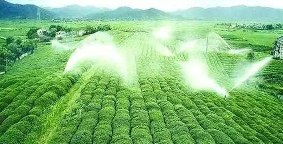 重磅！2019中央一號文件即將發布！大農業領域迎來新機遇