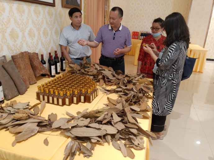 龔州大地，龍眼飄香-平南現代農業正釋放科技創新活力