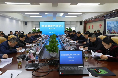 湘雁輸變電產(chǎn)業(yè)服務(wù)中心在長(zhǎng)沙成立,湖南輸變電產(chǎn)業(yè)開(kāi)啟發(fā)展新篇章