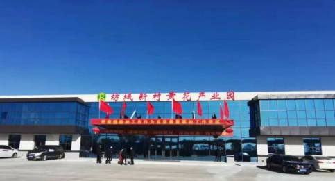 大同黃花，忘憂云州——云州區積極申創國家農業現代化示范區