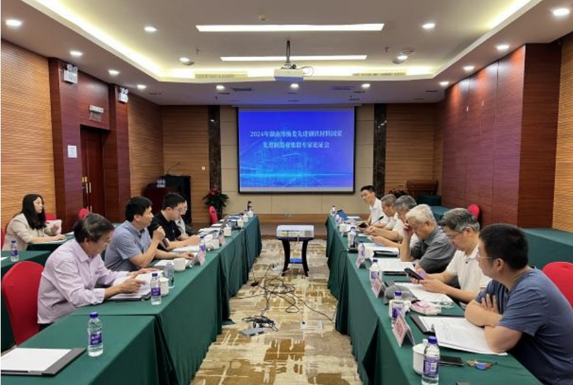 《培育發展湘潭市、婁底市、衡陽市先進鋼鐵材料集群實施方案》獲專家高度評